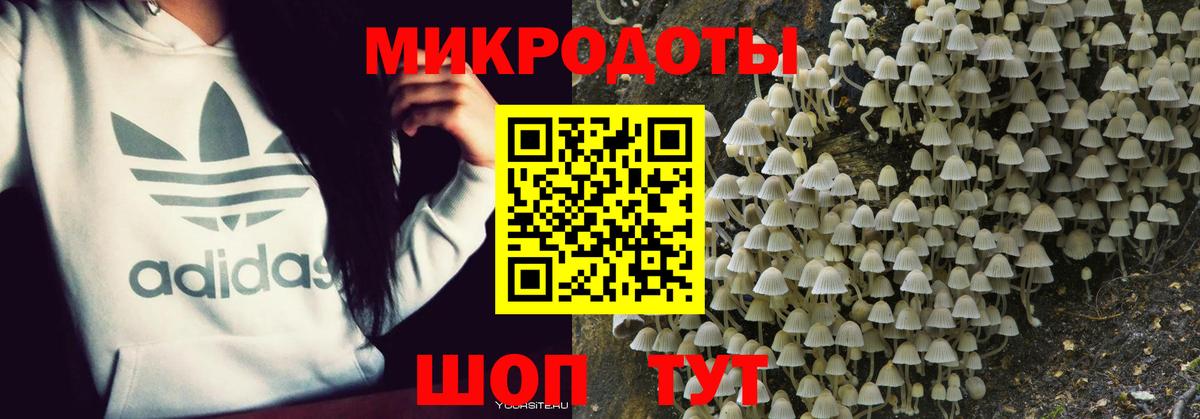 Галлюциногенные грибы Magic Shrooms  Псилоцибиновые грибы мицелий  Вход с VPN  Фролово 